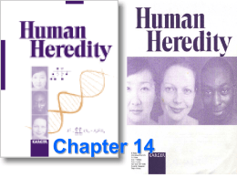 Human Heredity: Chapter 14