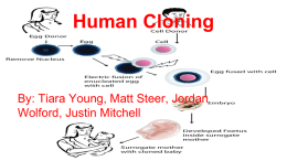 Human Cloning