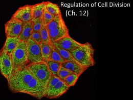 6.2 Regulation of Cell Division - Hatboro