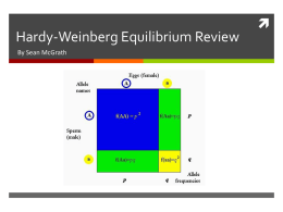 Hardy Weinberg Equilibrium Review