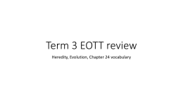 Term 3 EOTT review