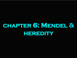 chapter-6-mendel-heredity