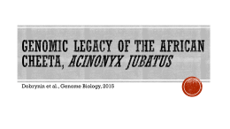 Genomic legacy of the African cheeta, acinonyx jubatus