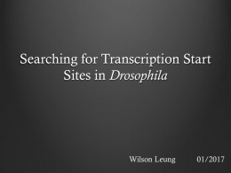 Searching for Transcription Start Sites