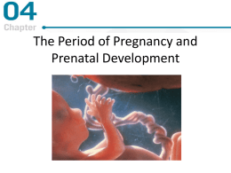 Chapter 4: The Period of Pregnancy and Prenatal Development