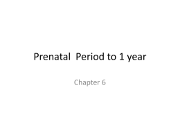 Prenatal Period to 1 year - Porterville College Home