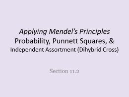 Applying Mendel*s Principles Probability, Punnett