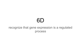 Gene Expression Questions