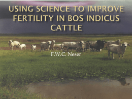 Possible selection criteria for improved cow fertility