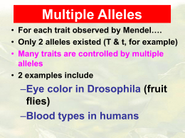 Multiple Alleles