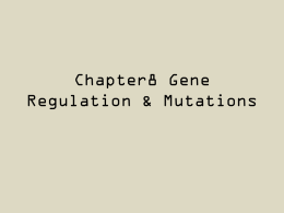 Gene Mutations - cloudfront.net