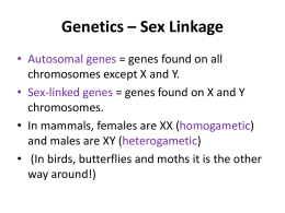 Genetics * Sex Linkage
