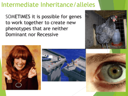 Mendel Genetics Part 2x
