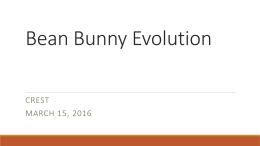 Bean Bunny Evolution