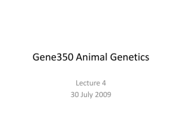 4. Gene350 Animal Genetics 30 July 2009