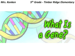 Konken`s Genetics Presentation