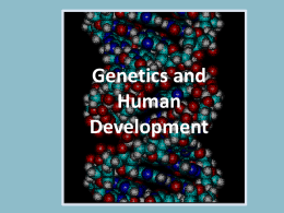 Genetics and Human Development