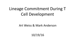 Powerpoint Lineage Commitment