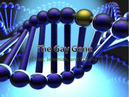 Is there a gay gene?