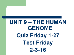 UNIT 11 * THE HUMAN GENOME (Chapter 14)