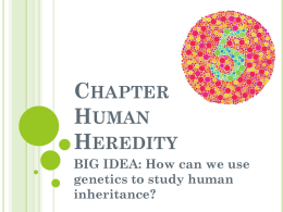 Chapter 14- Human Heredity BIG IDEA