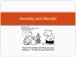 Heredity and Mendel