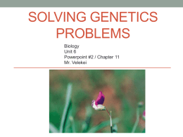 Solving Genetics Problems