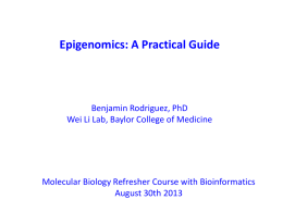 Epigenetic Mechanisms - Wei Li Lab