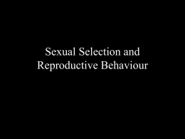 Sexual Selection and Reproductive Behaviour