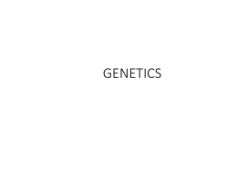 Genetics PPT - NAFO BIOLOGY 1 Honors