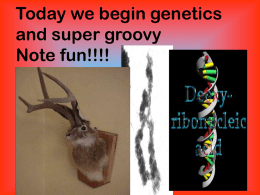 genetics-notes 15