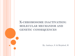 X-chromosome inactivation: molecular