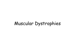 muscular_dystrophies_c