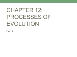 Chapter 12: Processes of Evolution