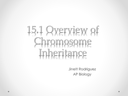 15.1 overview of chromosome inheritance