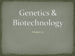 13.1x - Biology-RHS