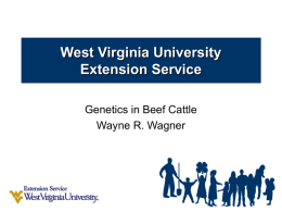 Beef Cattle Genetics - West Virginia University