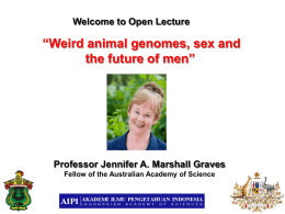 Weird animal genomes, sex and the future of men Professor Jennifer