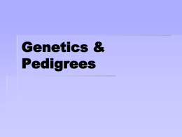 Genetics and Pedigrees Bio I