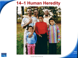14-1 Human Heredity