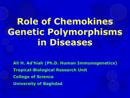 Role of Chemokines Genetic Polymorphisms in Diseases