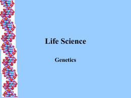 Life Science Genetics Genetics