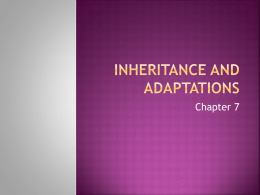 Inheritance and Adaptations