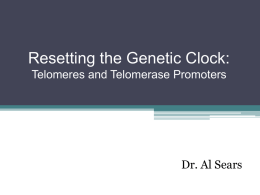 Resetting the Genetic Clock: Telomeres and Telomerase Promoters