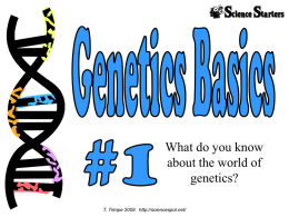 Genetics basics bell ringer