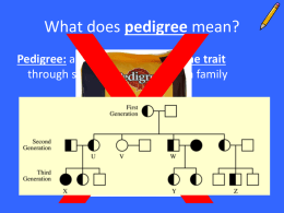 pedigrees ppt - Genetic Disease Project