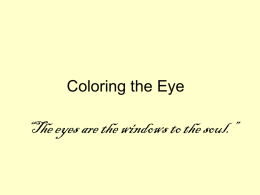 Eye Color - Casimir Middle School