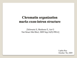 Chromatin organization marks exon