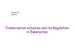 Bioreg2017_Transcription2_Eukaryax
