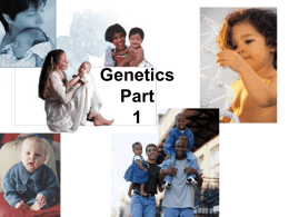 Intro to Genetics Notesx